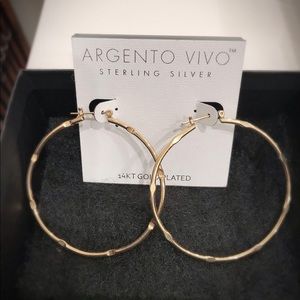 Argento Vivo Hoops